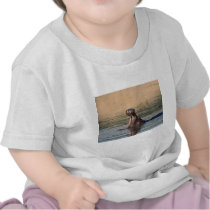 hippopotamus tee shirts