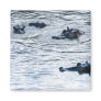 Hippopotamuses wading in a river, Africa Fridge Magnet