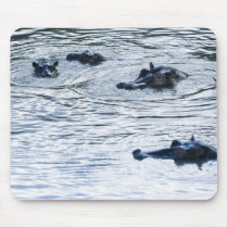 Hippopotamuses wading in a river, Africa Mousepad