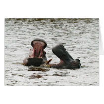 Hippos fooling around. card