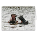 Hippos fooling around. cards