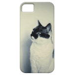 Hipster Cat iPhone 5 Case