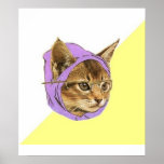 Hipster Kitty Cat Advice Animal Meme Posters