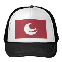 Hiroshima Prefecture Flag Mesh Hat