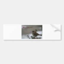 "His eye is on the sparrow" Bumper Sticker