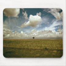 His painting mousepads