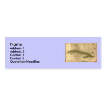 Historic 1639 Map of Cuba by Joan Vinckeboons Business Card