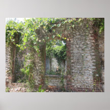 Historic Suwannee Springs, Florida Abandoned Poster