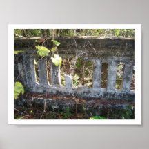 Historic Suwannee Springs, Florida Poster