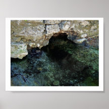 Historic Suwannee Springs, Florida suwannee river, Print