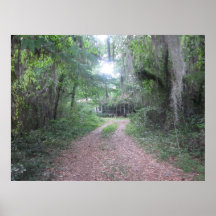 Historic Suwannee Springs, Florida suwannee river, Print
