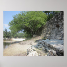 Historic Suwannee Springs, Florida suwannee river, Print