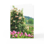 Historical Rose Garden Card