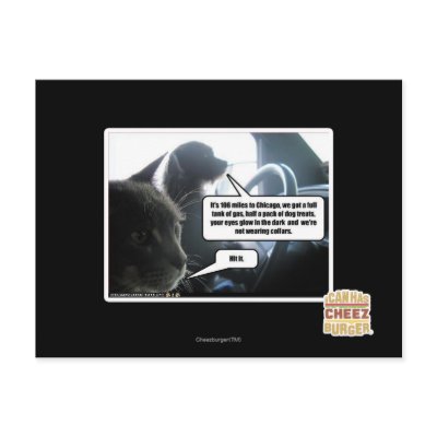 Hit It. Postcards by icanhascheezburger