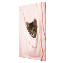 Hitchhiking Stretched Canvas Prints