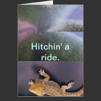 Hitchin a ride cards