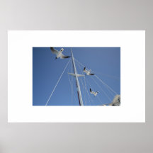 Hitching A Ride Print