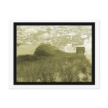 Hither Hills, Montauk  Postcard