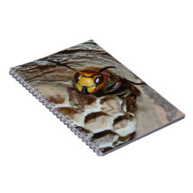 HIVE SPIRAL NOTE BOOKS