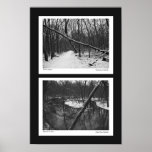 Hiver #1 de B&W Posters