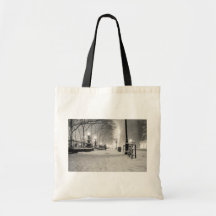 Hiver de New York - nuit de Milou - parc de Bryant Sacs Fourre-tout