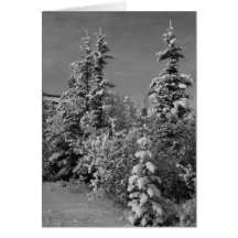 Hiver en noir et blanc carte de vœux