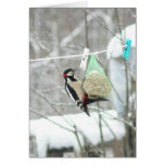 Hiver naturel Carte-Pittoresque d'habitat d'oiseau