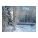 Hiver vers le haut de nord cartes postales