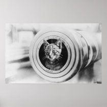 HMAS Encounter's Mascot Poster