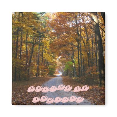 HNF Autumn Lane, AUTUMN IN INDIANA Refrigerator Magnet by ndfiveoh