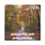 HNF Autumn Lane, AUTUMN IN INDIANA magnets