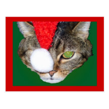 Ho, Ho, Herm Post Card
