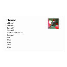 Ho Ho Ho Hummingbird Business Card Templates