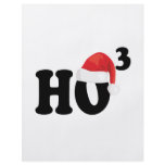 HO HO HO or... HO3 Full Color Flyer