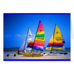 HOBIE CATS IN JERSEY cards