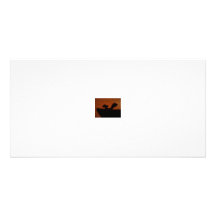 Hog Customized Photo Card