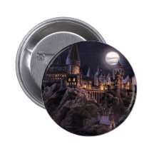 Hogwarts Boats To Castle Pinback Buttons