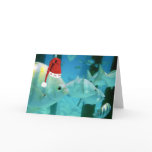 HoHoHo Tropical Fish