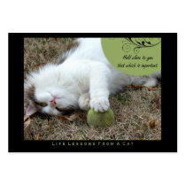 Hold Close Life Lessons from a Cat ACEO Art Cards