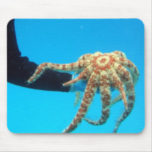Holding a Starfish Mouse Pad