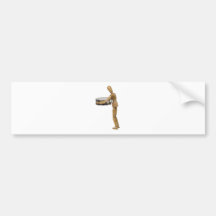 HoldingMirrorPlate110409 copy Bumper Sticker