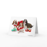 Holiday bassets cards