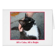 Holiday Card