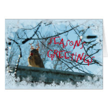 Holiday Cards