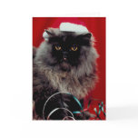 Holiday Cat Cards