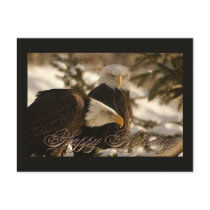 Holiday Eagles Post Cards