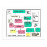 Holiday Flow Chart Post Cards