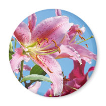 Holiday gifts Friends Pink Lily Flowers Floral