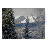 Holiday Greeting Snow Covered Mountains Greeting Cards