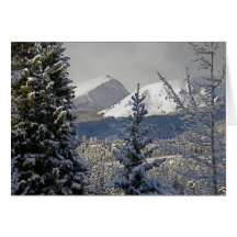 Holiday Greeting Snow Covered Mountains Greeting Cards